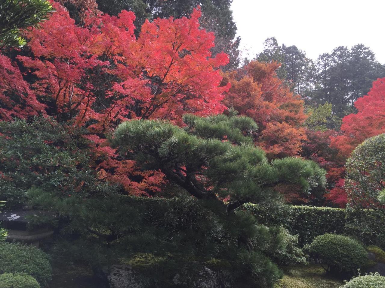 Ryokan Yamazaki Kyōto Esterno foto